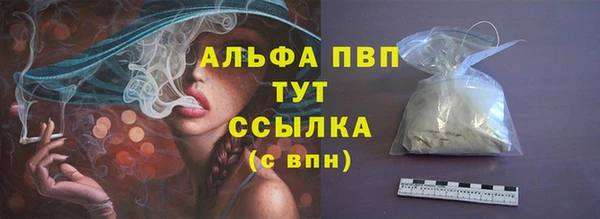 apvp Алексин