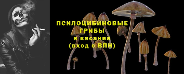 круглые Алзамай