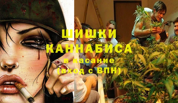 apvp Алексин