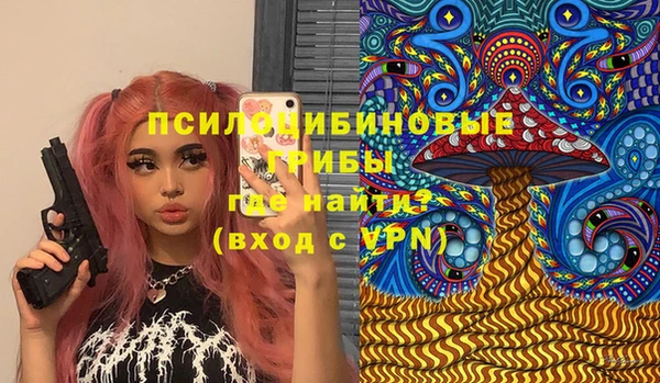 apvp Алексин