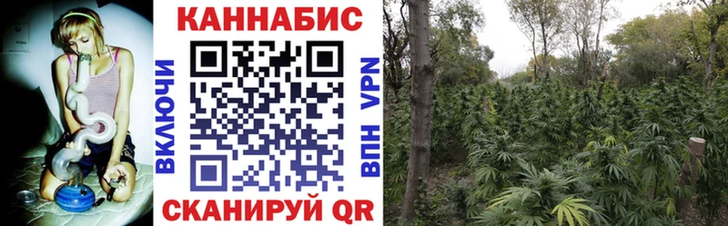 Канабис Ganja  наркотики  Каневская 